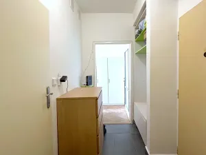 Prodej bytu 1+1, Brno, Křížkovského, 37 m2