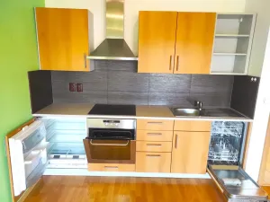 Pronájem bytu 1+kk, Brno, Kosmova, 39 m2