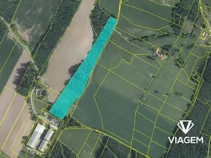 Prodej podílu lesa, Lomnice nad Popelkou, 11413 m2