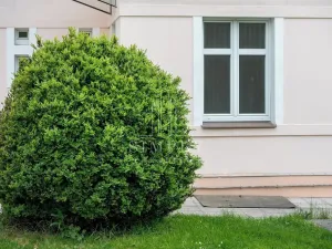 Prodej vily, Říčany, Legií, 500 m2