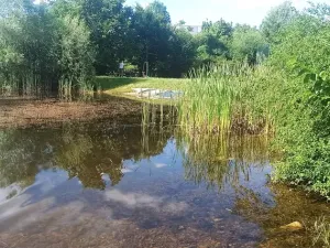 Prodej bytu 3+kk, Brno, Mírová, 78 m2