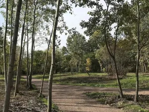 Prodej bytu 3+kk, Brno, Mírová, 78 m2