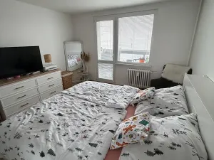 Prodej bytu 3+1, Svitavy, Felberova, 86 m2