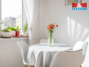 Prodej bytu 3+1, Písek - Pražské Předměstí, Na Pěníku, 67 m2