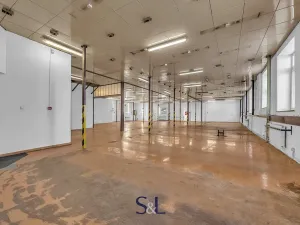 Prodej výrobních prostor, Nový Bor, Sklářská, 6477 m2