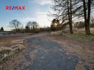 Prodej komerčního pozemku, Zákupy, 29159 m2