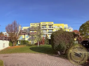 Prodej bytu 1+kk, Praha - Řeporyje, Wiesenthalova, 38 m2