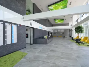 Pronájem kanceláře, Brno, Jana Babáka, 227 m2