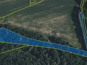 Prodej lesa, Volfířov - Brandlín, 3426 m2