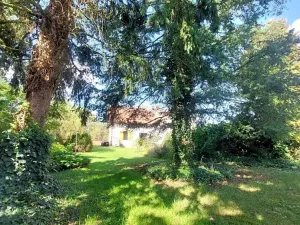 Prodej pozemku, Rybníky, 6544 m2