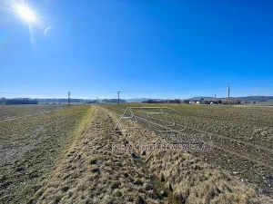 Prodej pole, Vodňany, Stožická, 3872 m2