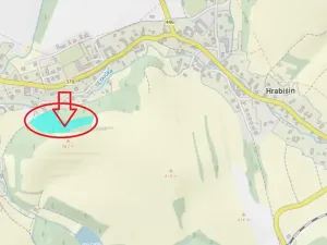 Prodej podílu lesa, Hrabišín, 4749 m2