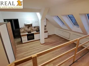 Pronájem bytu 1+kk, Šebrov-Kateřina, 33 m2