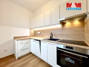 Prodej bytu 1+1, Krnov - Pod Cvilínem, Svatováclavská, 35 m2