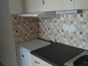 Pronájem bytu 1+kk, Praha - Vinohrady, Nad olšinami, 48 m2