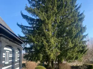 Prodej chalupy, Rybniště, 150 m2