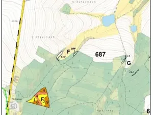 Prodej lesa, Červená Řečice, 1181 m2