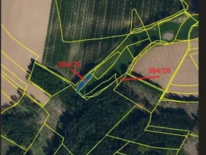 Prodej lesa, Červená Řečice, 1181 m2