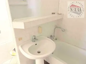 Pronájem bytu 3+kk, Praha - Krč, Na strži, 67 m2