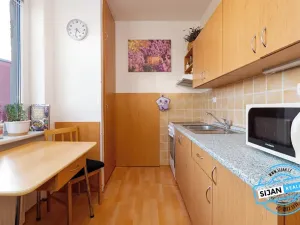 Pronájem bytu 2+1, Vítkov, Budišovská, 48 m2