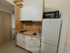 Pronájem bytu 2+1, Praha - Žižkov, Hartigova, 38 m2