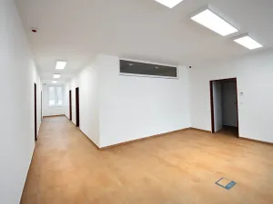 Pronájem kanceláře, Hořín, 420 m2