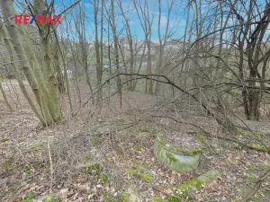 Prodej zahrady, Havířov, 1256 m2