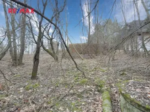 Prodej zahrady, Havířov, 1256 m2