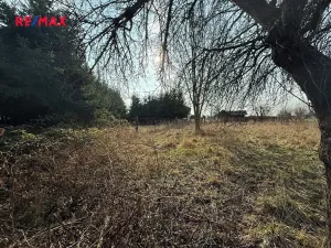Prodej pozemku pro bydlení, Chudenice, 880 m2