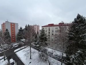 Prodej bytu 3+1, Jihlava, Kollárova, 69 m2