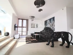 Pronájem bytu 3+kk, Plzeň, Goldscheiderova, 250 m2