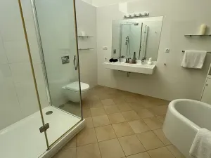 Pronájem bytu 3+kk, Přelouč, Opatovická, 115 m2