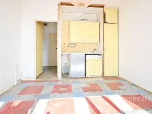 Prodej bytu 1+kk, Most, M. G. Dobnera, 21 m2