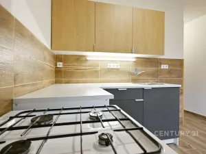 Pronájem bytu 2+1, Jáchymov, Na Slovanech, 60 m2