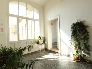 Prodej bytu 2+1, Brno, Koliště, 89 m2