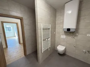 Pronájem bytu 4+kk, Rostěnice-Zvonovice - Rostěnice, 111 m2