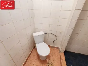 Pronájem bytu 3+1, Teplice, U Hadích lázní, 107 m2