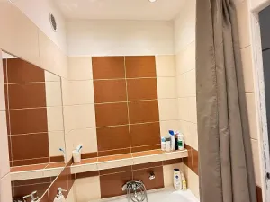 Pronájem bytu 1+1, Ostrava - Poruba, Vincence Makovského, 34 m2