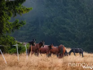 Prodej bytu 2+kk, Rokytnice nad Jizerou, 63 m2