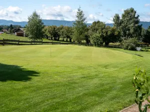 Prodej komerční, Broumov - Velká Ves, Kladská