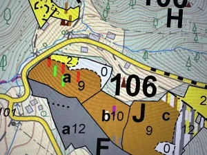 Prodej lesa, Plavy, 32050 m2