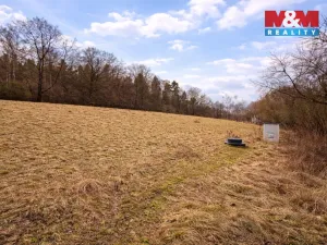 Prodej komerčního pozemku, Křečovice - Vlkonice, 68525 m2