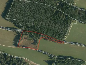 Prodej lesa, Strmilov, 8914 m2