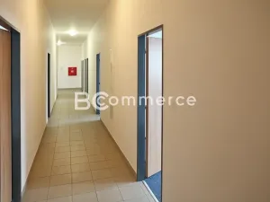 Pronájem kanceláře, Brno, Pražská, 23 m2