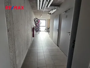 Pronájem bytu 2+kk, Kolín, Zásmucká, 71 m2