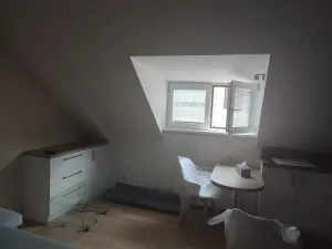 Pronájem bytu 1+kk, Frýdek-Místek, Ostravská, 32 m2