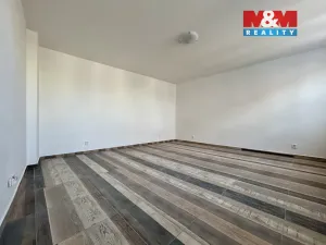 Pronájem bytu 1+1, Švihov, Čsl. legií, 45 m2