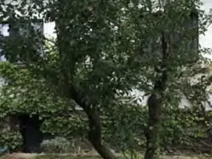 Dražba rodinného domu, Slapy, 70 m2