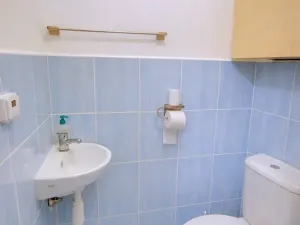 Prodej bytu 2+1, Brno, Rybářská, 72 m2