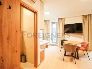 Pronájem bytu 1+kk, Brno, Cyrilská, 23 m2